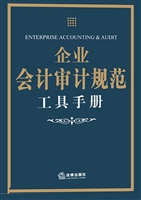 企业会计审计规范工具