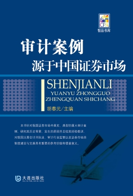 审计案例——源于中国