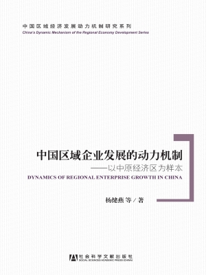中国区域企业发展的动