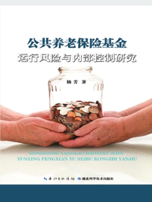 公共养老保险基金运行