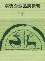 弱势企业品牌运营