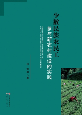 少数民族农民工参与新