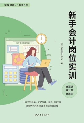 新手会计岗位实训