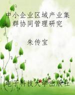 中小企业区域产业集群