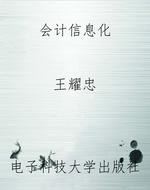 会计信息化