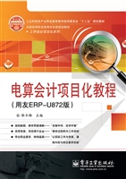 电算会计项目化教程（用