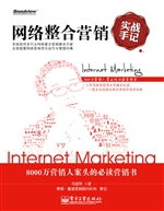 网络整合营销实战手记