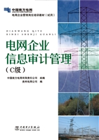 电网企业信息审计管理