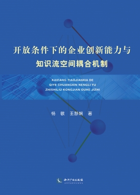 开放条件下的企业创新