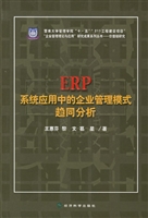 ERP系统应用中的企业