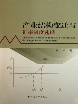 产业结构变迁与汇率制