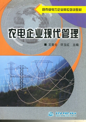 农电企业现代管理