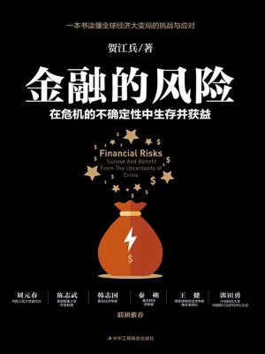 金融的风险：在危机的不