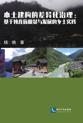 本土建构的差异化治理