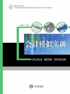 会计模拟实训