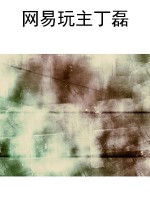 网易玩主丁磊