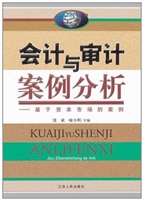 会计与审计案例分析