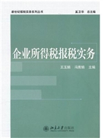 企业所得税报税实务