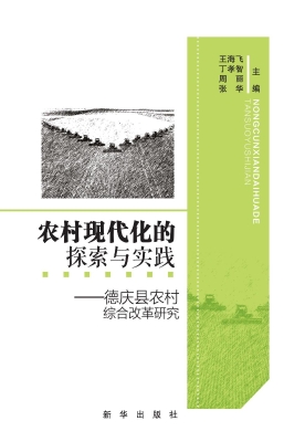 农村现代化的探索与实