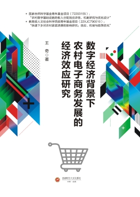 数字经济背景下农村电