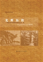 光辉历程