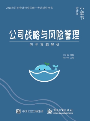 公司战略与风险管理—