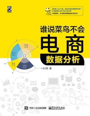 谁说菜鸟不会电商数据