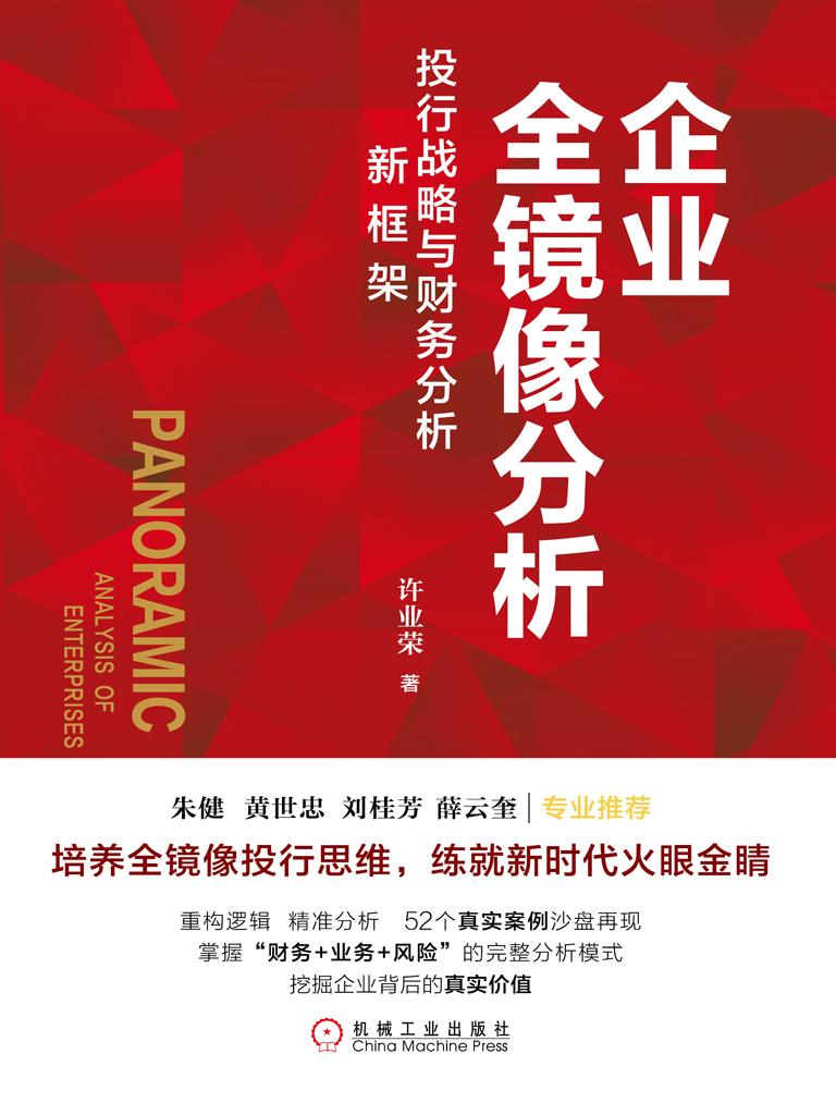 企业全镜像分析：投行战