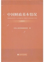 中国财政基本情况  20