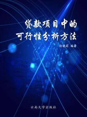 贷款项目中的可行性分