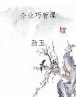 企业巧管理
