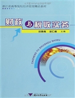 财政与税收实务