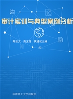 审计实训与典型案例分