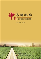 中式卷烟之路