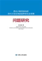 西北少数民族地区农村
