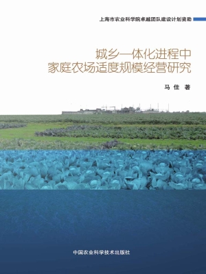 城乡一体化进程中家庭