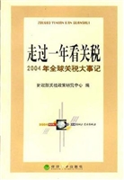 走过一年看关税