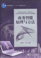 商务智能原理与方法
