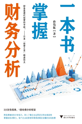 一本书掌握财务分析
