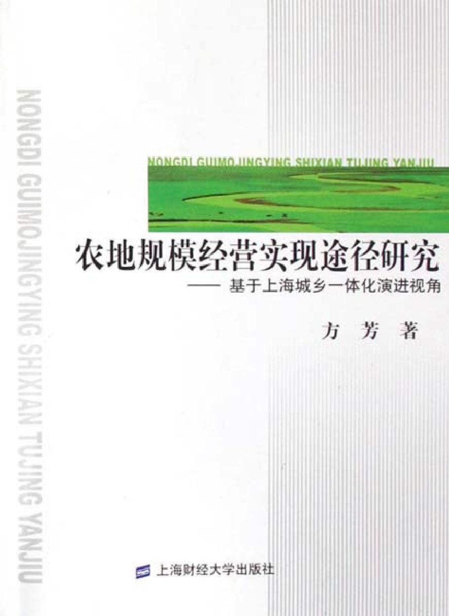 农地规模经营实现途径