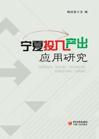 宁夏投入产出应用研究
