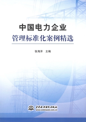 中国电力企业管理标准