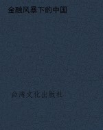 金融风暴下的中国