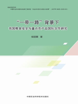 “一带一路”背景下我