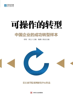 可操作的转型——中国