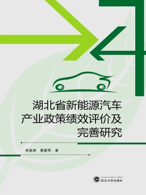 湖北省新能源汽车产业