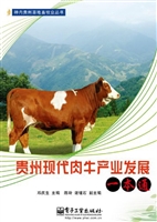 贵州现代肉牛产业发展