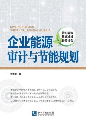 企业能源审计与节能规