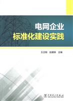 电网企业标准化建设实