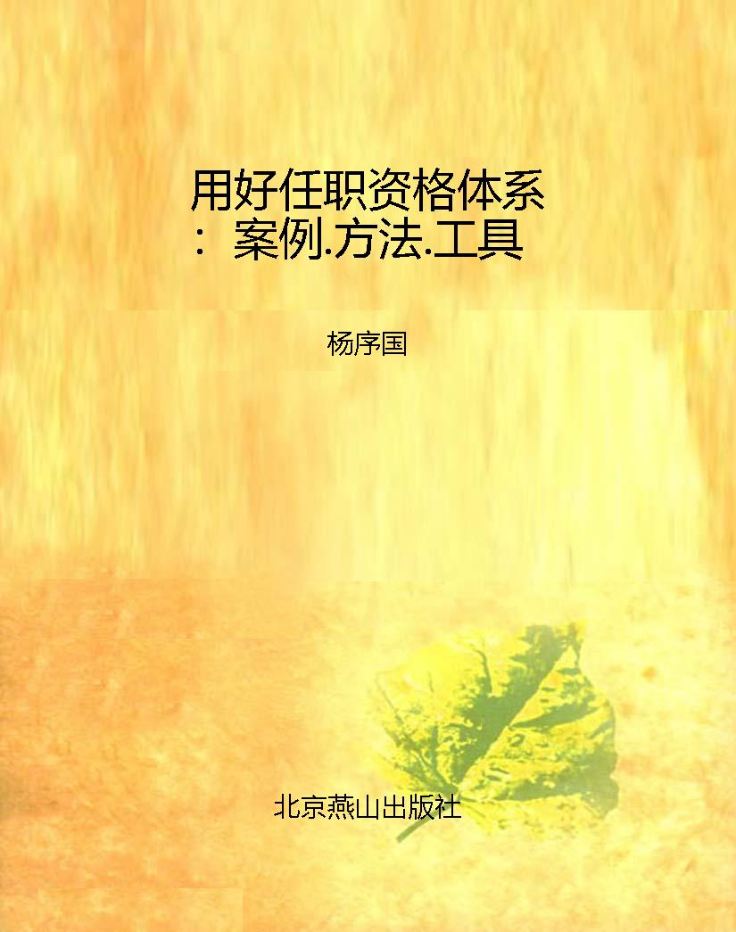 用好任职资格体系：案例